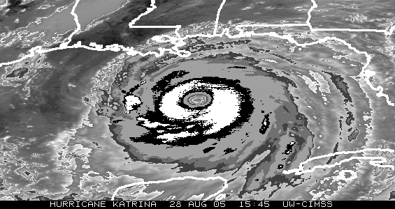 Infrared satellite image of Hurricane Katrina (2005) using the Basic Dvorak Hurricane Enhancement Curve for Tropical Cyclone Classification, or "BD Curve." The black/white/gray ranges represent different intensity classifications in the Subjective Dvorak Intensity Classification Technique. Credit: Tim Olander.