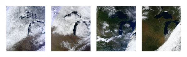 modis four seasons