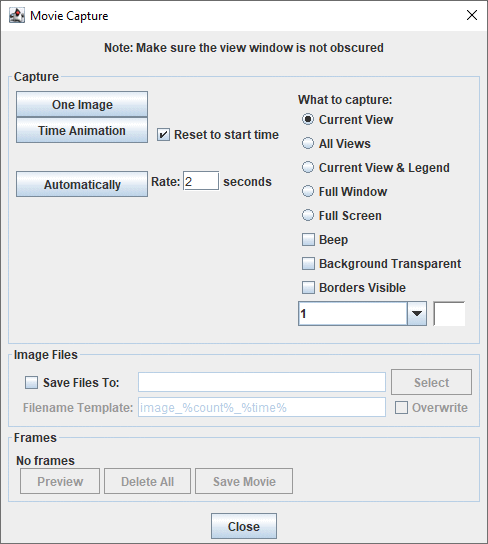 Image 1: Movie Capture Window