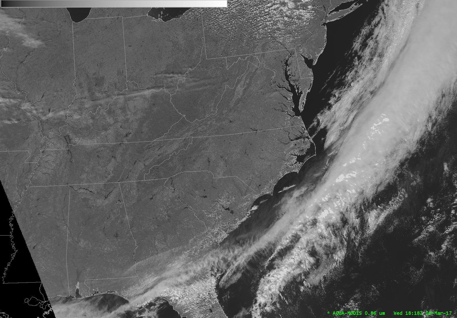 ../_images/modis_vis02_example.png