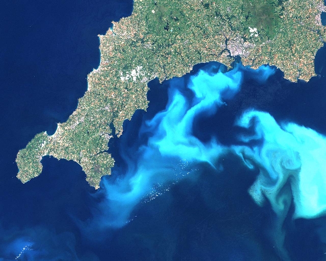 satellite image detecting an upwelling event