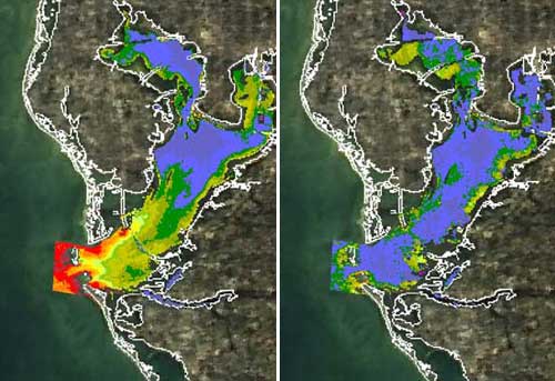 Tampa Bay turbidity