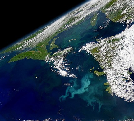 satellite image of upwelling