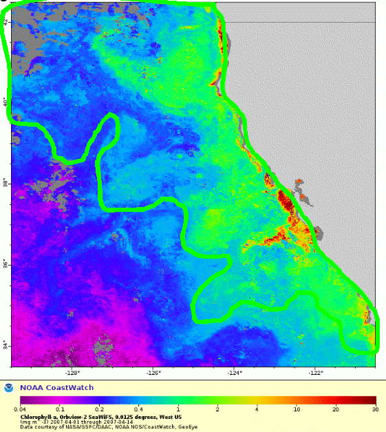 Phytoplankton Response to Upwelling