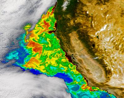 SeaWiFS false color image of phytoplankton bloom off coast of California