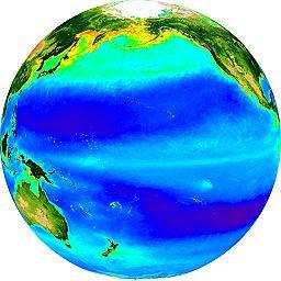 mean global chlorophyll distribution, Pacifica