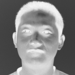 Zhenglong Li