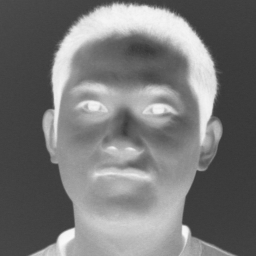 Zhenglong Li
