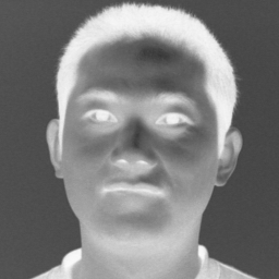 Zhenglong Li